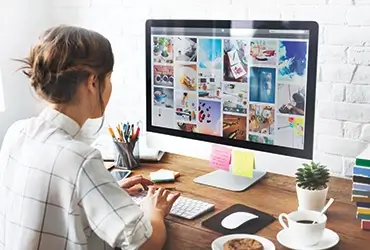 Web Tasarım